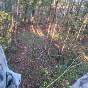 Meet your Posher, Cole